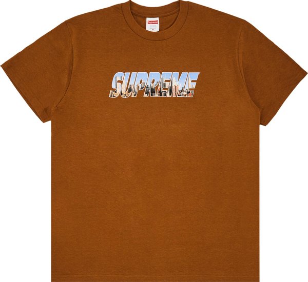 Supreme Gotham Tee 'Brown'