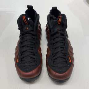 Nike Air Foamposite Pro Color Shift Size 10 (Lightly Worn Pre-Owned) - aux
