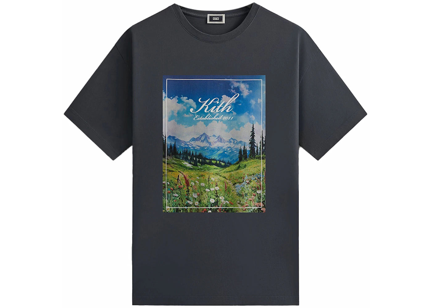 Kith Landscape Vintage Tee Torpedo