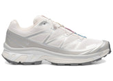 Salomon XT-6 Rainy Day Paloma