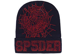 Sp5der Web Beanie