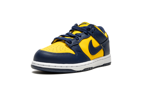 Nike Dunk Low "Michigan" (TD & PS)