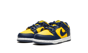 Nike Dunk Low "Michigan" (TD & PS)